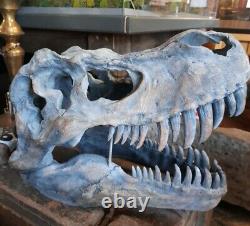 Large 51.5cm T-Rex Tyrannosaurus Rex Wall Hung Dinosaur Skull