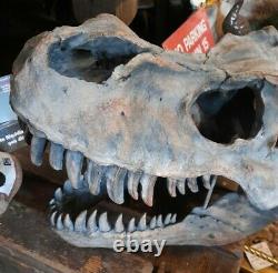 Large 51.5cm T-Rex Tyrannosaurus Rex Wall Hung Dinosaur Skull