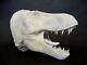 Large Scale T. Rex Dinosaur Unpainted Wall-Hanger