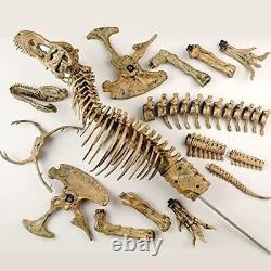 Large T-Rex Skeleton Statue Dinosaur Fossil Museum Replica Model Fan Kids Gift
