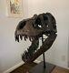 Large T-Rex Skull Replica Statue Model Dinosaur Head Taxidermy Resin Fossil 10