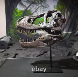 Large T-Rex Skull Replica Statue Model Dinosaur Head Taxidermy Resin Fossil 10
