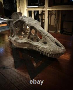 Life Size Baby T. Rex Skull Replica Dinosaur Fossils LARGE high quality