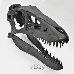 Life Size Baby T. Rex Skull Replica Dinosaur Fossils Triassica UK