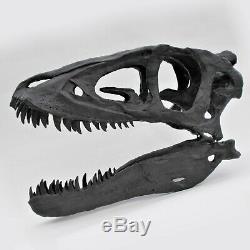 Life Size Baby T. Rex Skull Replica Dinosaur Fossils Triassica UK