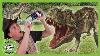 Life Size Giant T Rex U0026 Raptor Dinosaur T Rex Ranch Dinosaur Videos