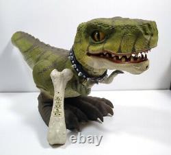 Mattel D-Rex T-Rex Prehistoric Pets Interactive Dinosaur with Bone Remote read