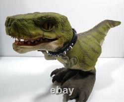 Mattel D-Rex T-Rex Prehistoric Pets Interactive Dinosaur with Bone Remote read