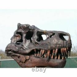 Museum Dinosaur Jurassic Authentic Bronze T-Rex Skull Tyrannosaurus Rex