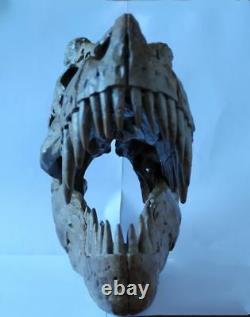 NEW, 25CM, Dinosaur model / T-REX Skull Model ZB-1802