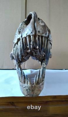 NEW, 38CMDinosaur model / T-REX Skull Small Model DB-R1802