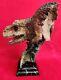 Prehistoric Tyrannosaurus Rex Head Bust Dinosaur Sculpture Statue 14H 10L