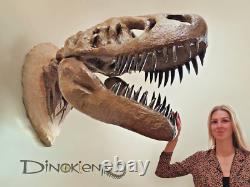 Premium Wall-Mounted Life-Size T-Rex Skull Replica Giant Dinosaur Decor