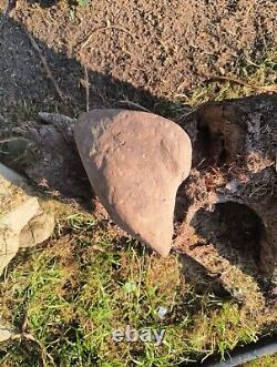 Rare Carcharodontosaurus Dinosaur Tooth T Rex Cousin 95 Mil Yrs Fossil 8 1/2