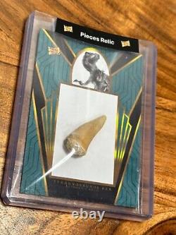 Real Dinosaur Tooth Tyrannosaurus T-rex Relic Pieces Of The Past #otso-13