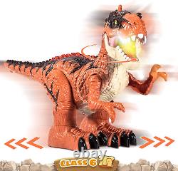 Remote Control Dinosaur Toys for Kids 3-5 with Spray, Electric Realistic RC T-Re