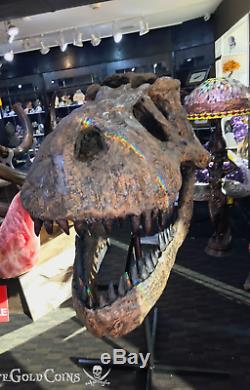 Replica T-rex Tyrannosaurus Rex Skull Dinosaur Fossil Treasures Of Jurassic