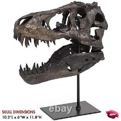 Replica Tyrannosaur Skull Faux Jurassic Dinosaur Bones T-Rex Head Fossil Decor