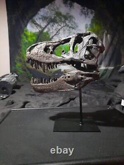 Replica Tyrannosaur Skull Faux Jurassic Dinosaur Bones T-Rex Head Fossil Decor