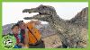 Save The Stegosaurus T Rex Ranch Dinosaur Videos