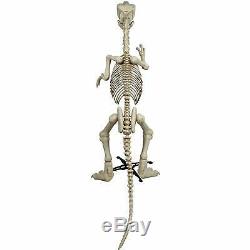 Skeleton Raptor 6ft T-Rex Dinosaur Halloween