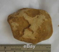 Small flat Dinosaur egg, might be a T-Rex found by Cha in Glen Rose, Texas
