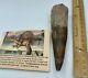 Spinosaurus 5 1/2 Tooth Dinosaur Fossil before T Rex Cretaceous AC2