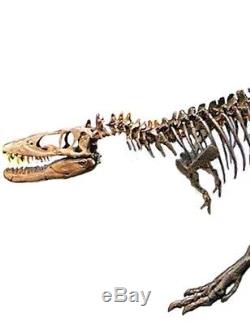 TYRANNOSAURUS REX Dinosaur MOUNTED T REX Skeleton Fossil Replica LIFE SIZE