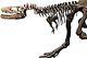 TYRANNOSAURUS REX Dinosaur MOUNTED T REX Skeleton Fossil Replica LIFE SIZE BABY
