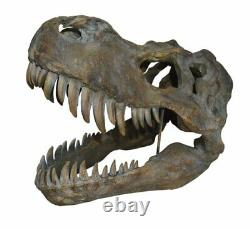 T-Rex Dinosaur Skeleton Skull Ornament Tyrannosaurus Raptor Archaeology Fossil