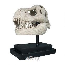 T-Rex Dinosaur Skull Replica Fossil Statue Predator on Museum Mount