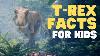 T Rex Facts For Kids All About The Tyrannosaurus Rex