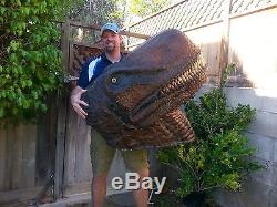 T-Rex Large Mounted Dinosaur Heads