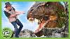 T Rex Ranch Dinosaur Videos