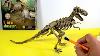T Rex Skeleton Dinosaur Excavation Kit Esqueleto Tiranosaurio Rex De Juguete Para Excavar 4 7