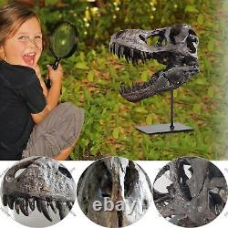 T-Rex Skull Statue Home Office Desktop Shelf Decor Dinosaur Head Sculptures