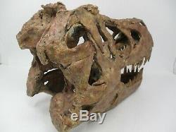 T-Rex Tyrannosaurus Dinosaur Resin Cast Skull Replica