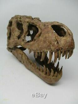 T-Rex Tyrannosaurus Dinosaur Resin Cast Skull Replica