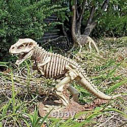 T-rex Dinosaur Skeleton Statue