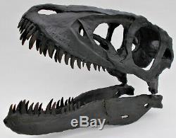 T rex baby SKULL life size Tyrannosaurus rex replica dinosaur fossil