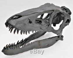 T rex baby SKULL life size Tyrannosaurus rex replica dinosaur fossil