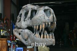 Tyrannosaurus GIANT SKULL BRONZE T-Rex Dinosaur 54 Fossil FREE ship 48 till OC
