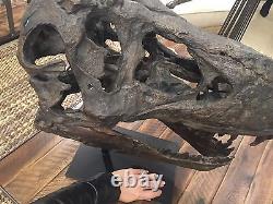 Tyrannosaurus Natural Looking Bone Rustic Dinosaur Skull Sculpture