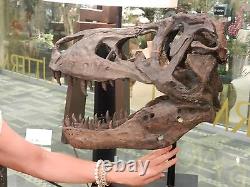 Tyrannosaurus Natural Looking Bone Rustic Dinosaur Skull Sculpture