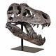 Tyrannosaurus Rex Head Sculpture Dinosaur Décor T-Rex Fossil Skull Organic Shape