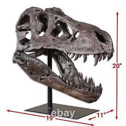 Tyrannosaurus Rex Head Sculpture Dinosaur T-Rex Fossil Skull Organic Shape