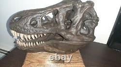 Tyrannosaurus Rex / T. Rex Large Dinosaur Skull Model