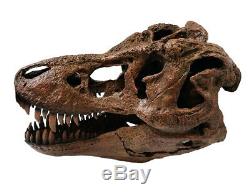 Tyrannosaurus Rex / T. Rex Large Dinosaur Skull Model Replica 1/4 Scale