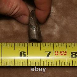 Tyrannosaurus Rex T. Rex Tooth Dinosaur Fossil Hell Creek Formation CRETACEOUS