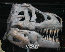 Tyrannosaurus T-Rex Skull GIANT BRONZE ART Fossil Model Dinosaur LIFE SIZE